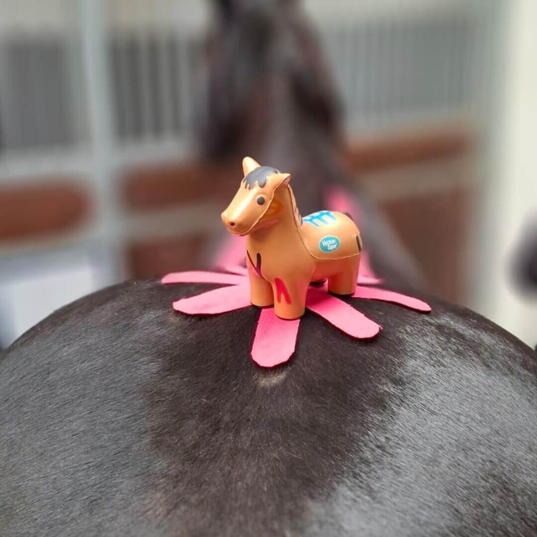 VetkinTape® Pferd - Image 3