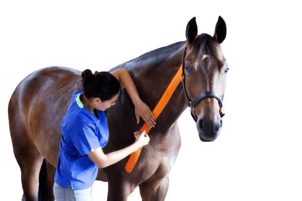 VetkinTape® DE