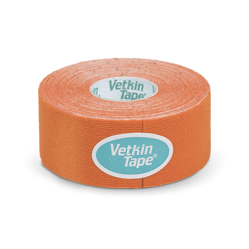 VetkinTape® Einführungsangebot für Hunde - Image 4