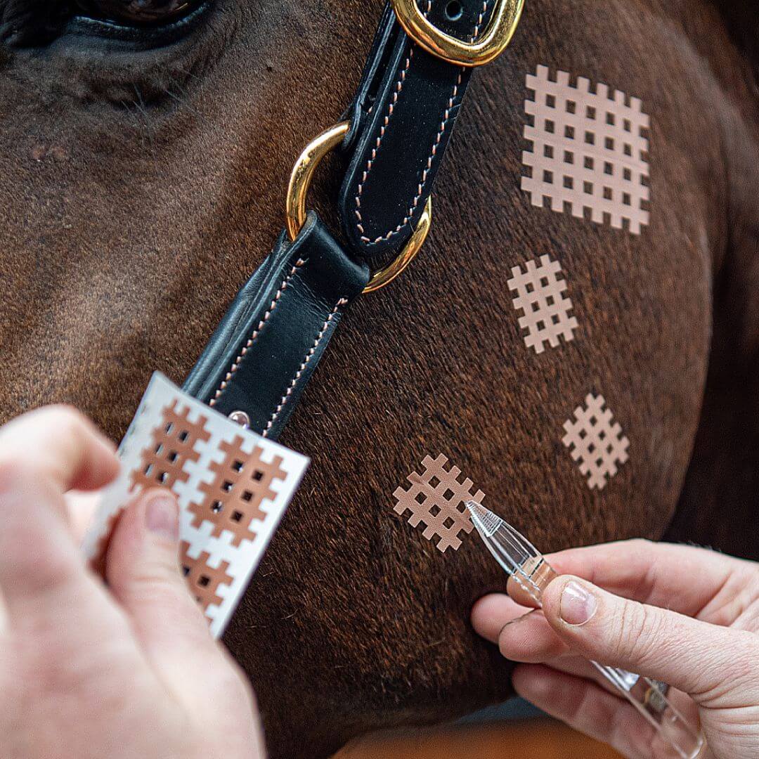 CrossLinq® – VET, Gitterpflaster für Tiere - Image 2