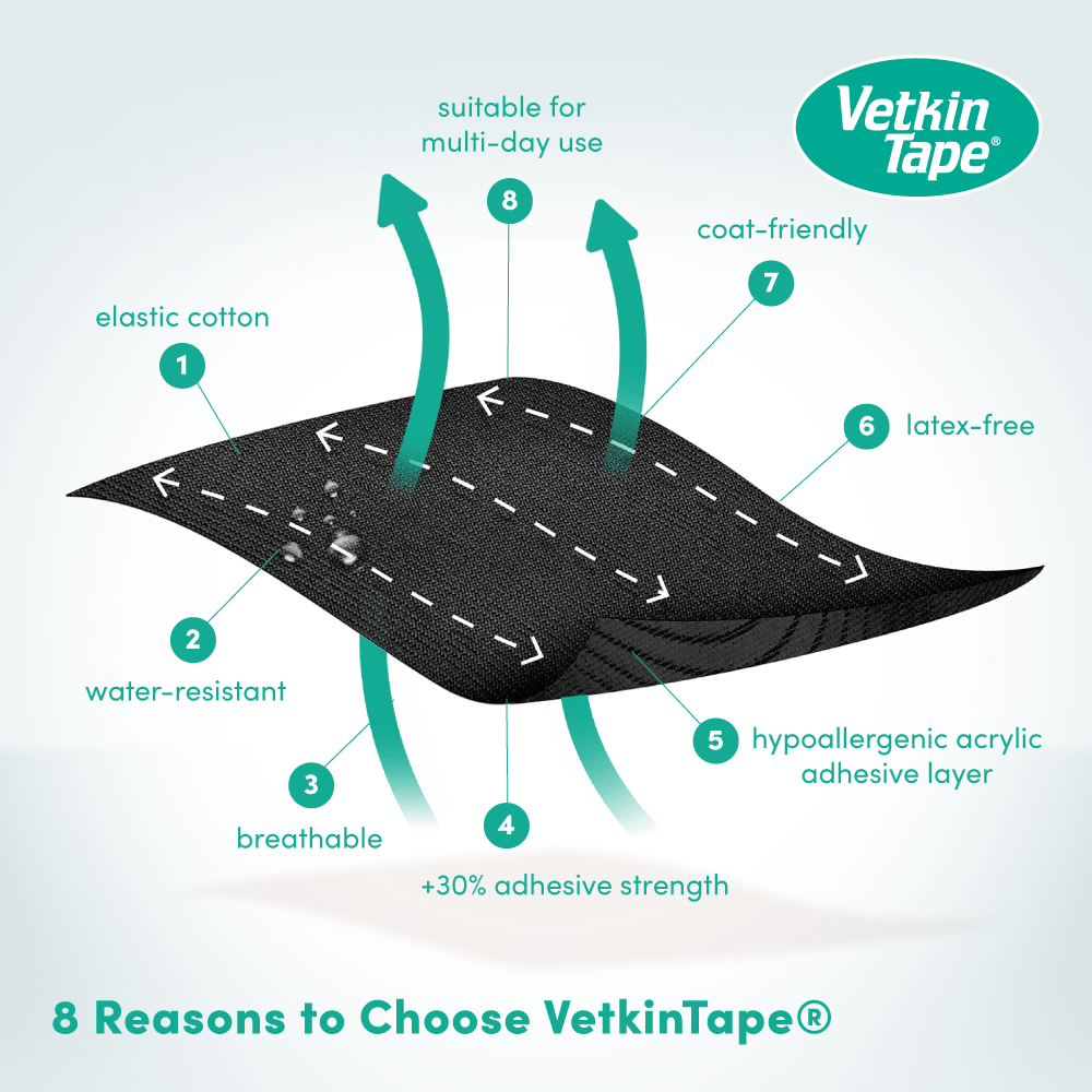 VetkinTape® 10cm - Image 2