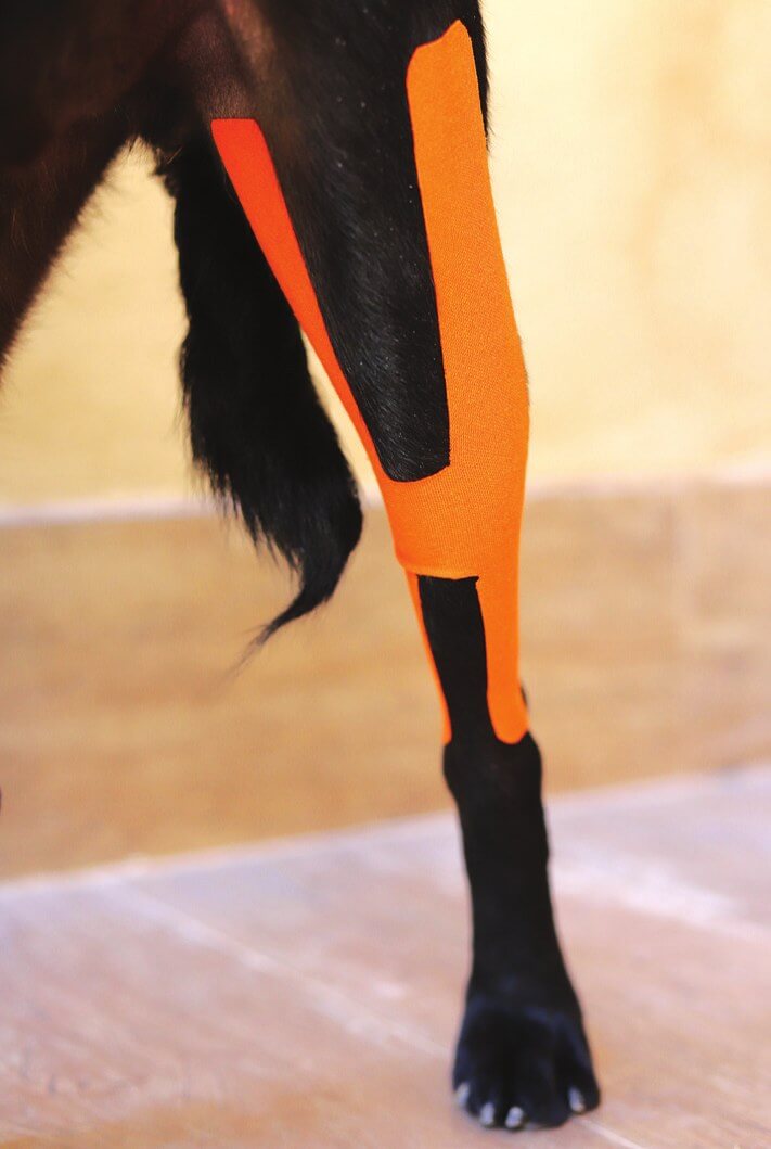 H tape applied with strong stretch, cranial view