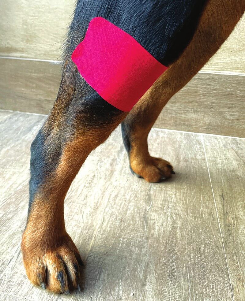 Completed tape application over the patellar tendon