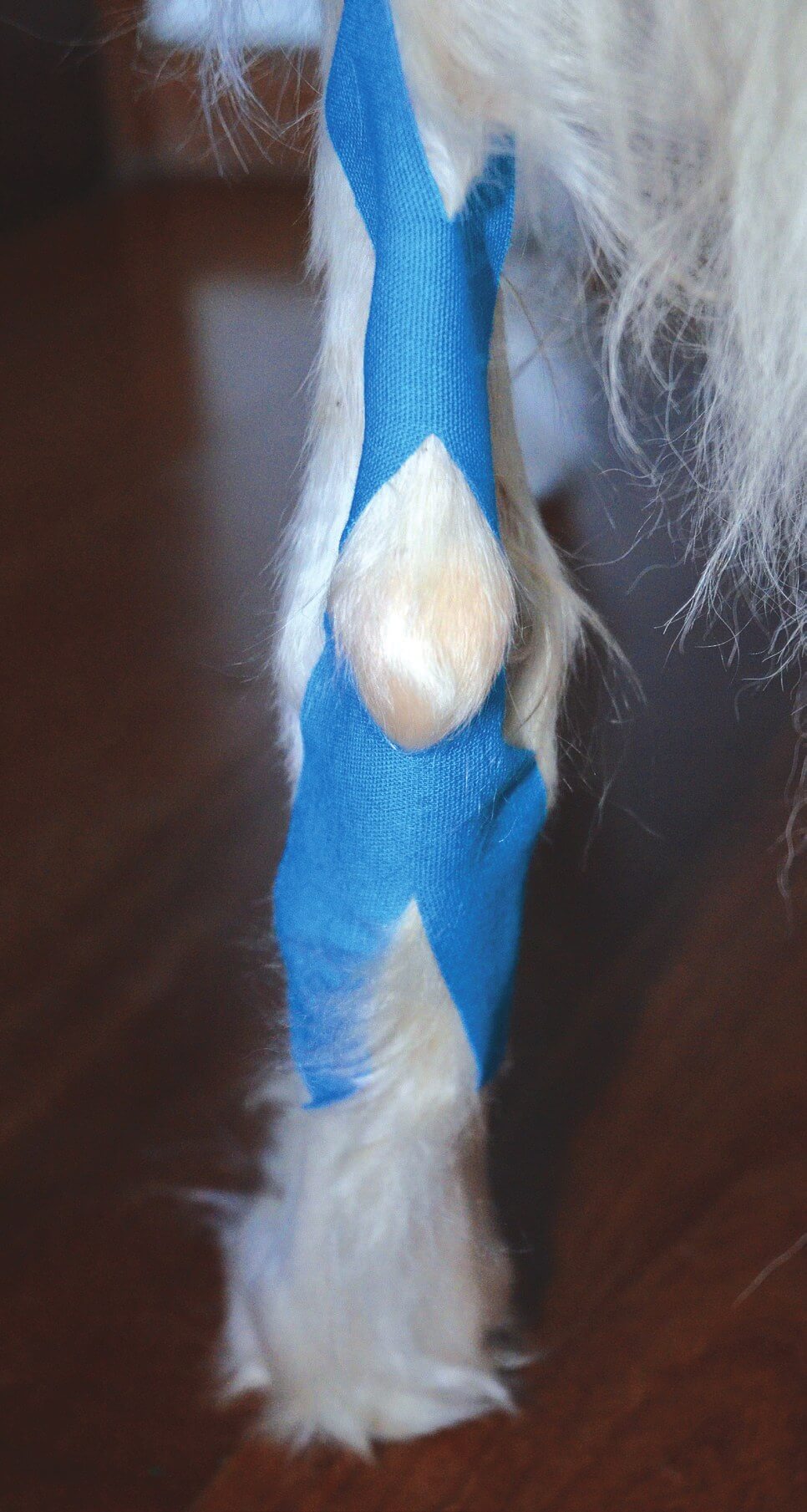 Perforated X shape tape applied over the calcaneus
