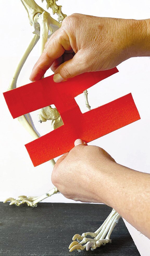 Zusätzliches H-Tape für laterale und mediale Unterstützung zuschneiden